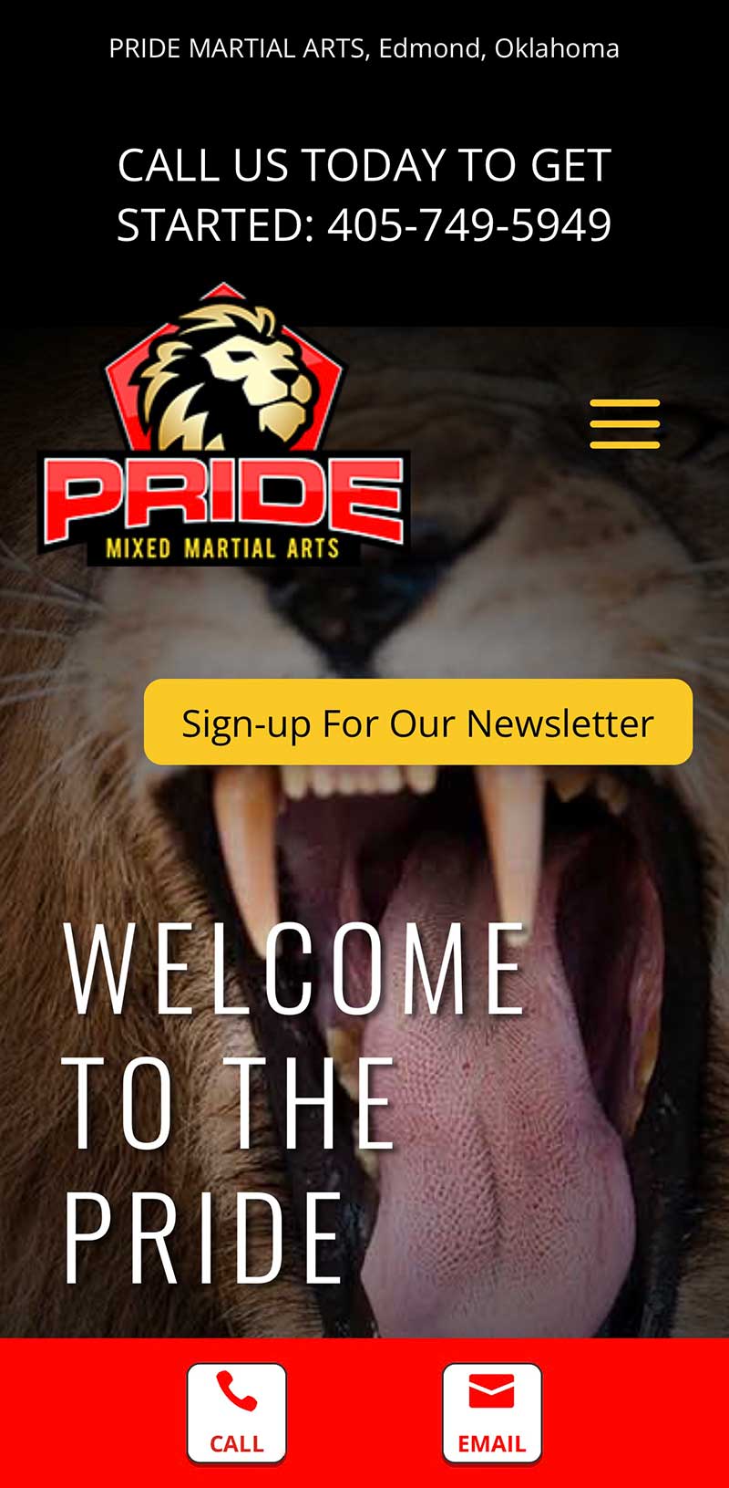 Pride Mixed Martial Arts Mobile Website Design By Russ @ RgB Design Group