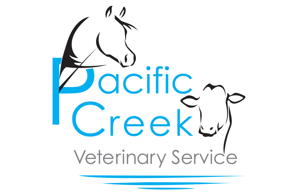 Pacific Creek Vet Designed by Russ at RgB Design Group LLC